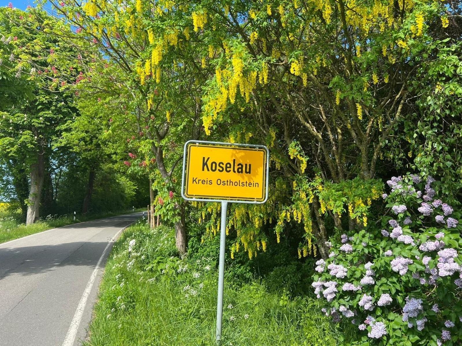 Gut Koselau Landhaus II Eksteriør billede